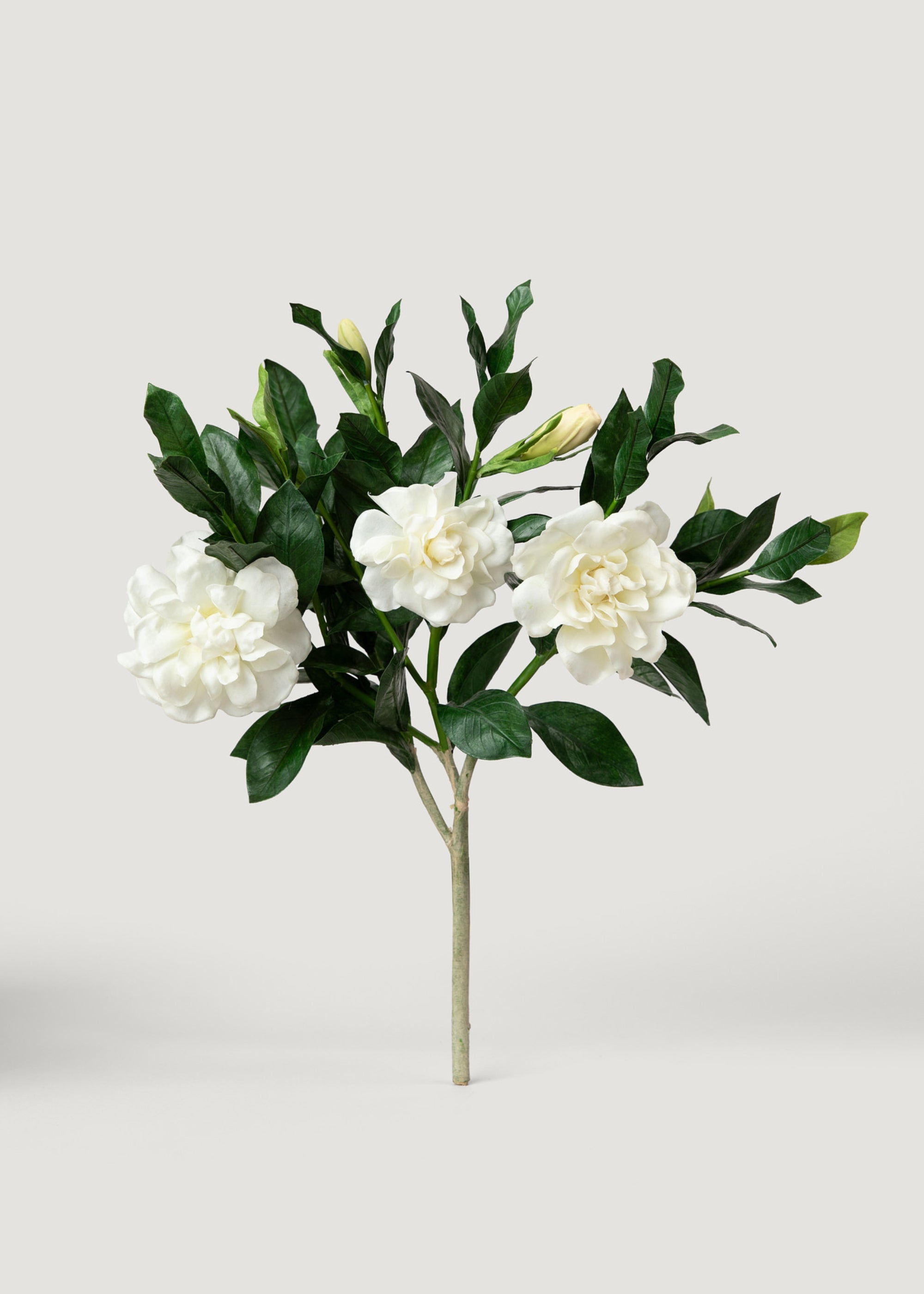 Premium Cream Artificial Gardenia Flower Bush - 19"