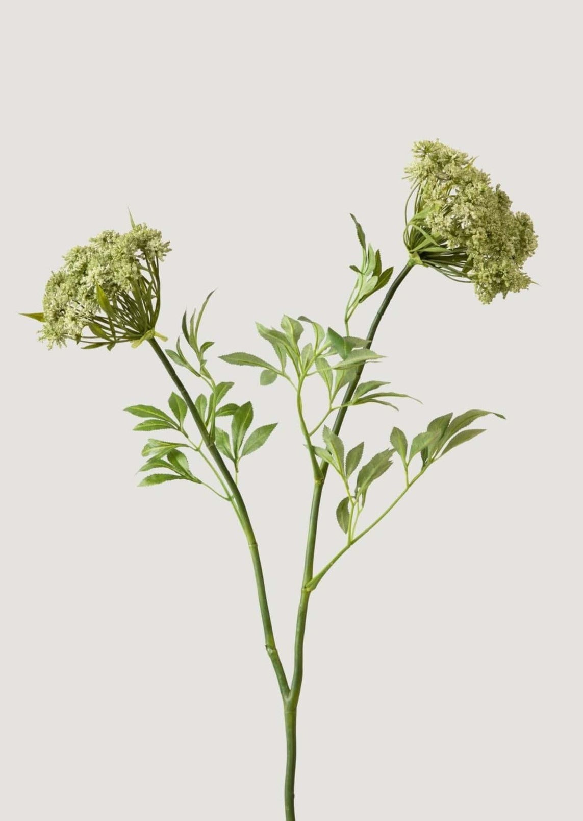 SALE - Faux Queen Anne's Lace Wildflowers - 36"