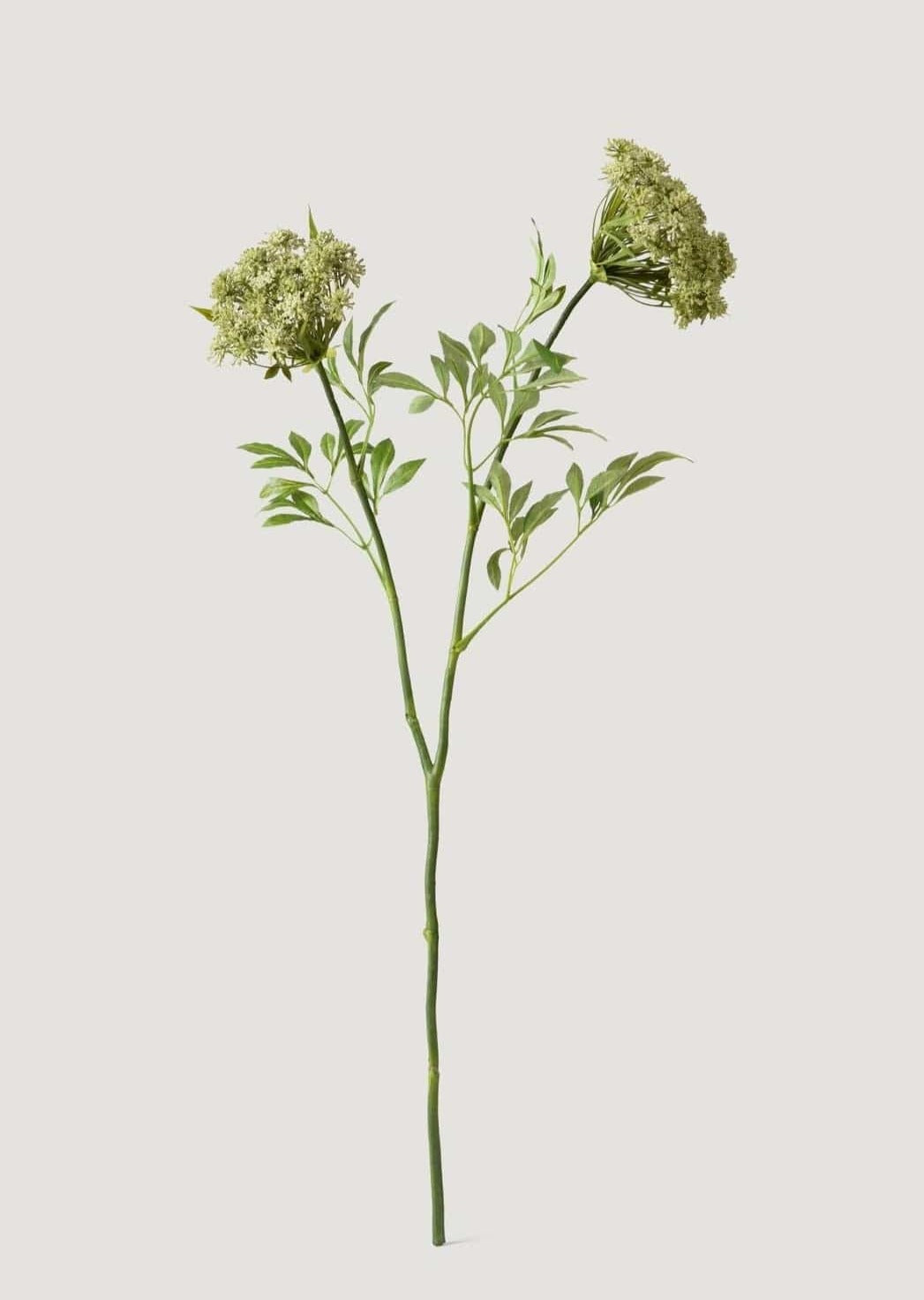 SALE - Faux Queen Anne's Lace Wildflowers - 36"
