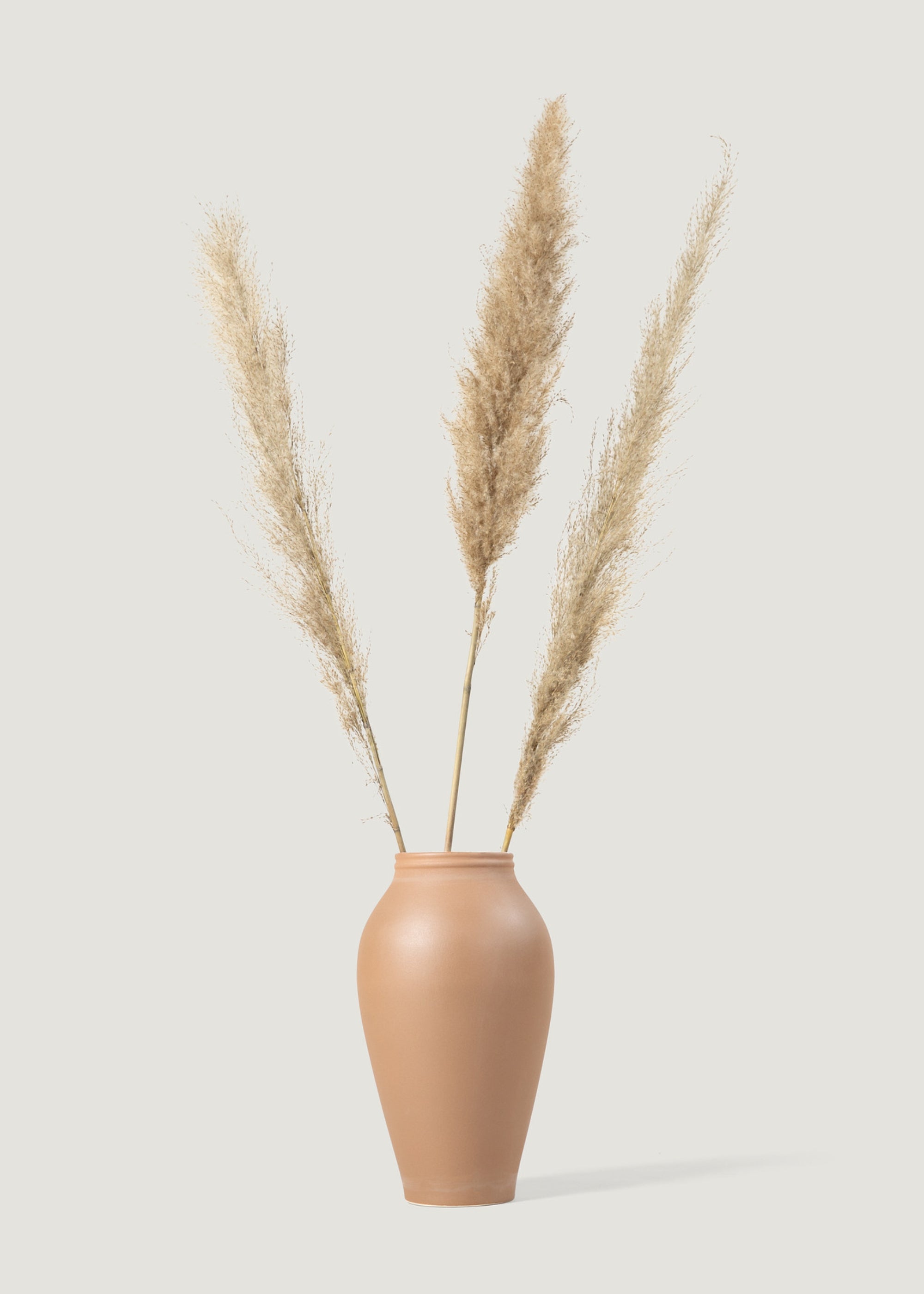 Bundle of 3 Natural Dried Feather Pampas Grass Stems - 45-48"