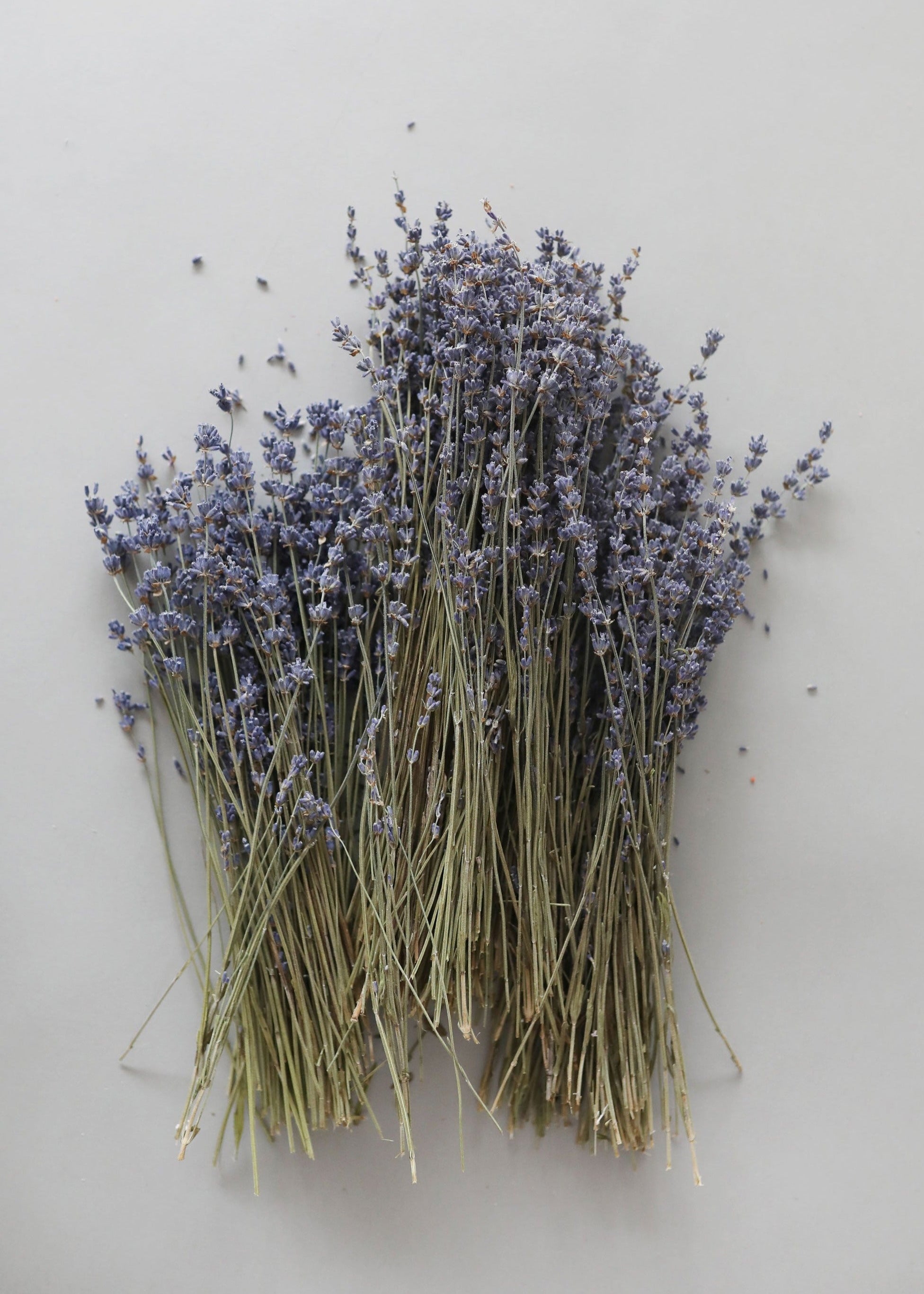 Natural Fragrant Dried Lavender Bundle - 6-14"