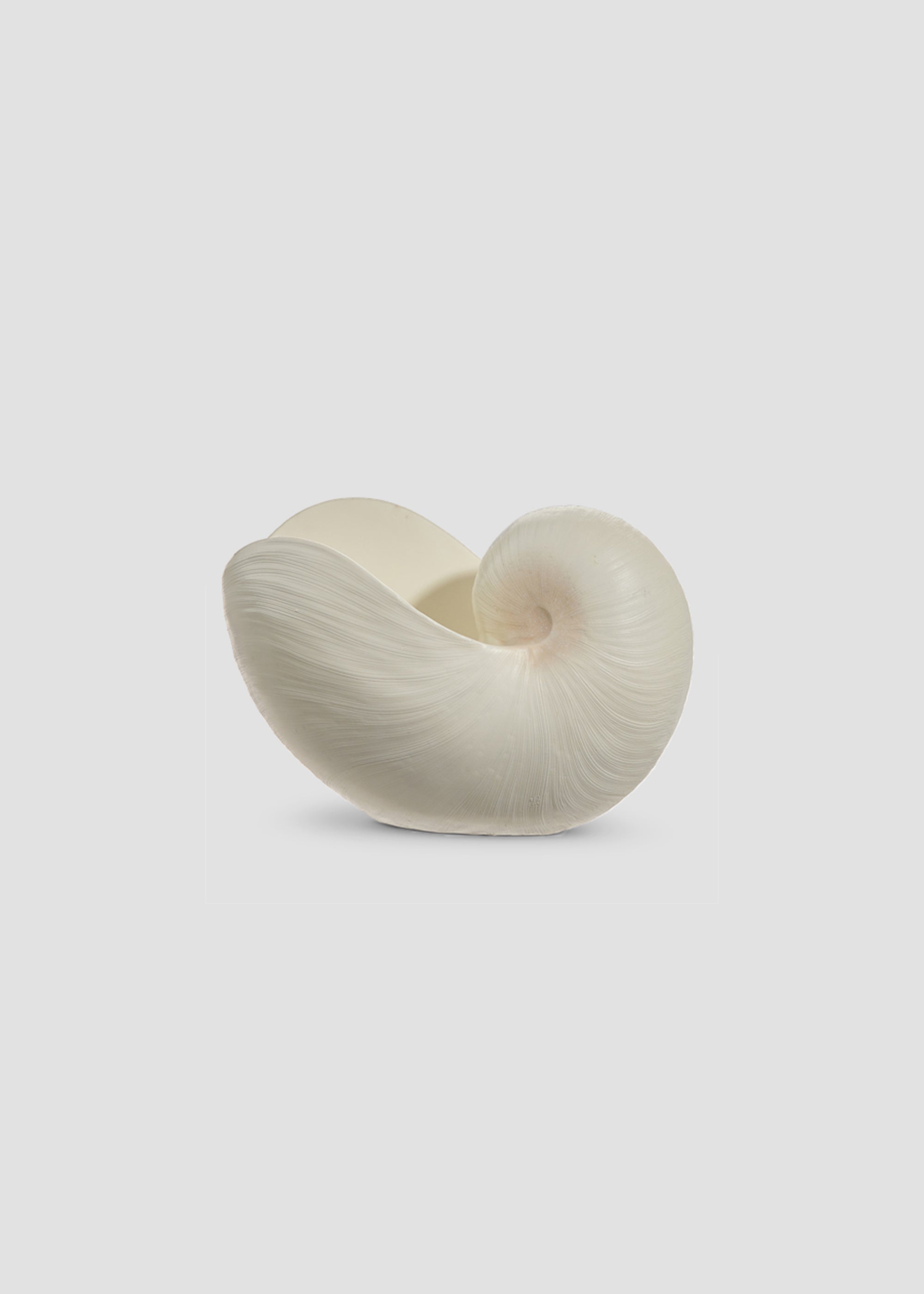 Table Decor Resin Shell Vase in Cream - 8"