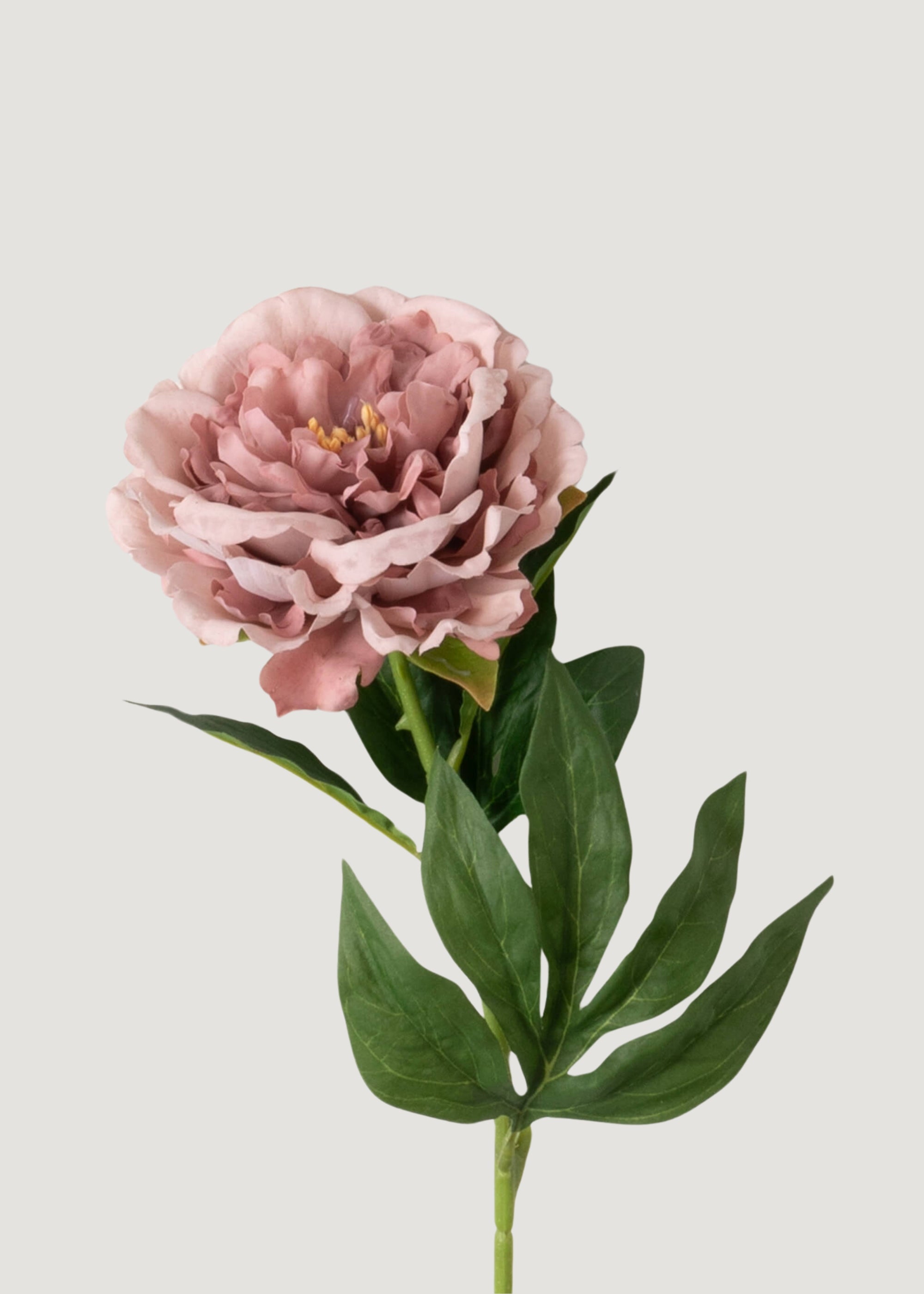 Fake Peony Real Touch Flower in Mauve Pink - 24.5"