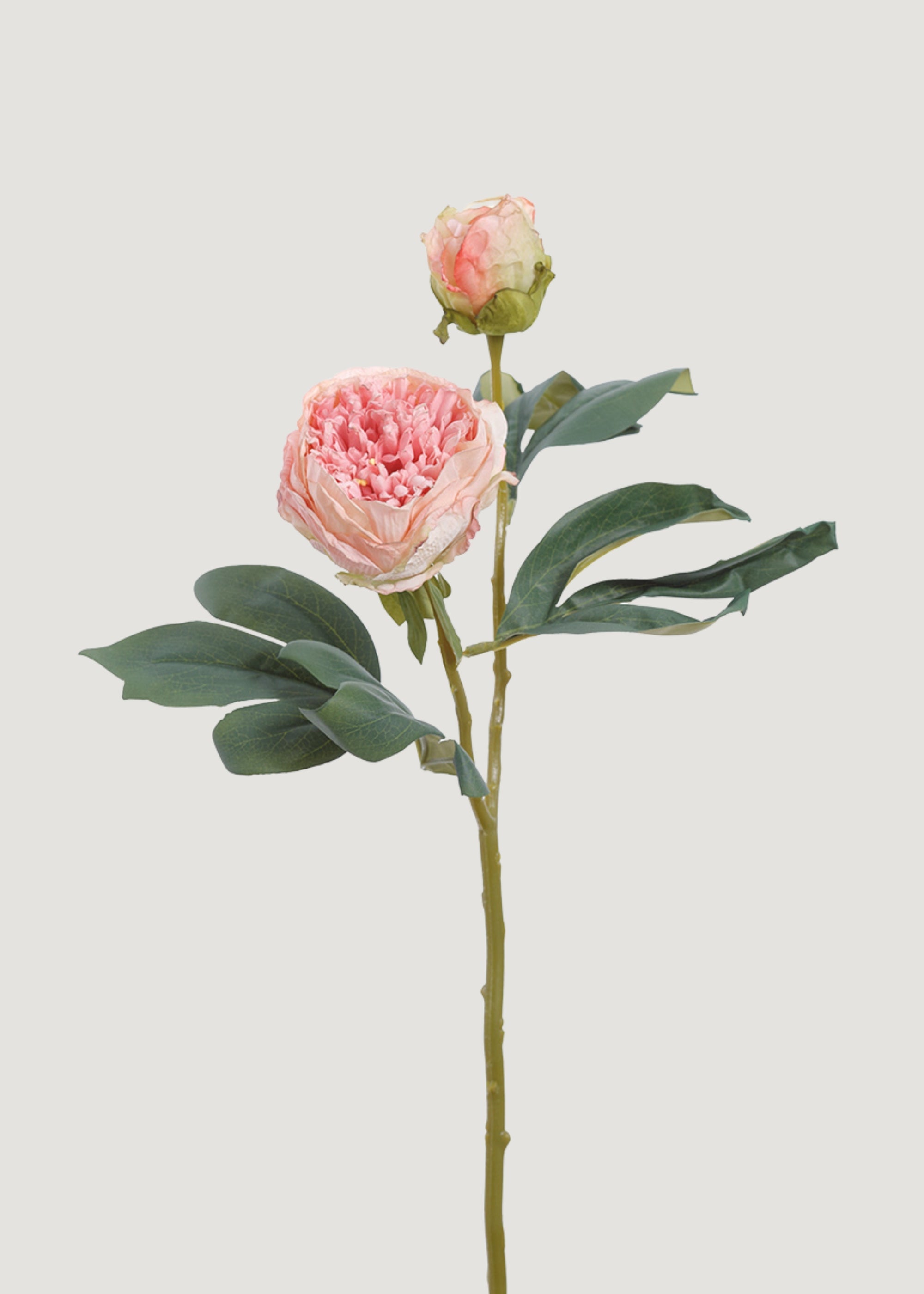 Dried Look Artificial Peony Flower in Pink - 19"