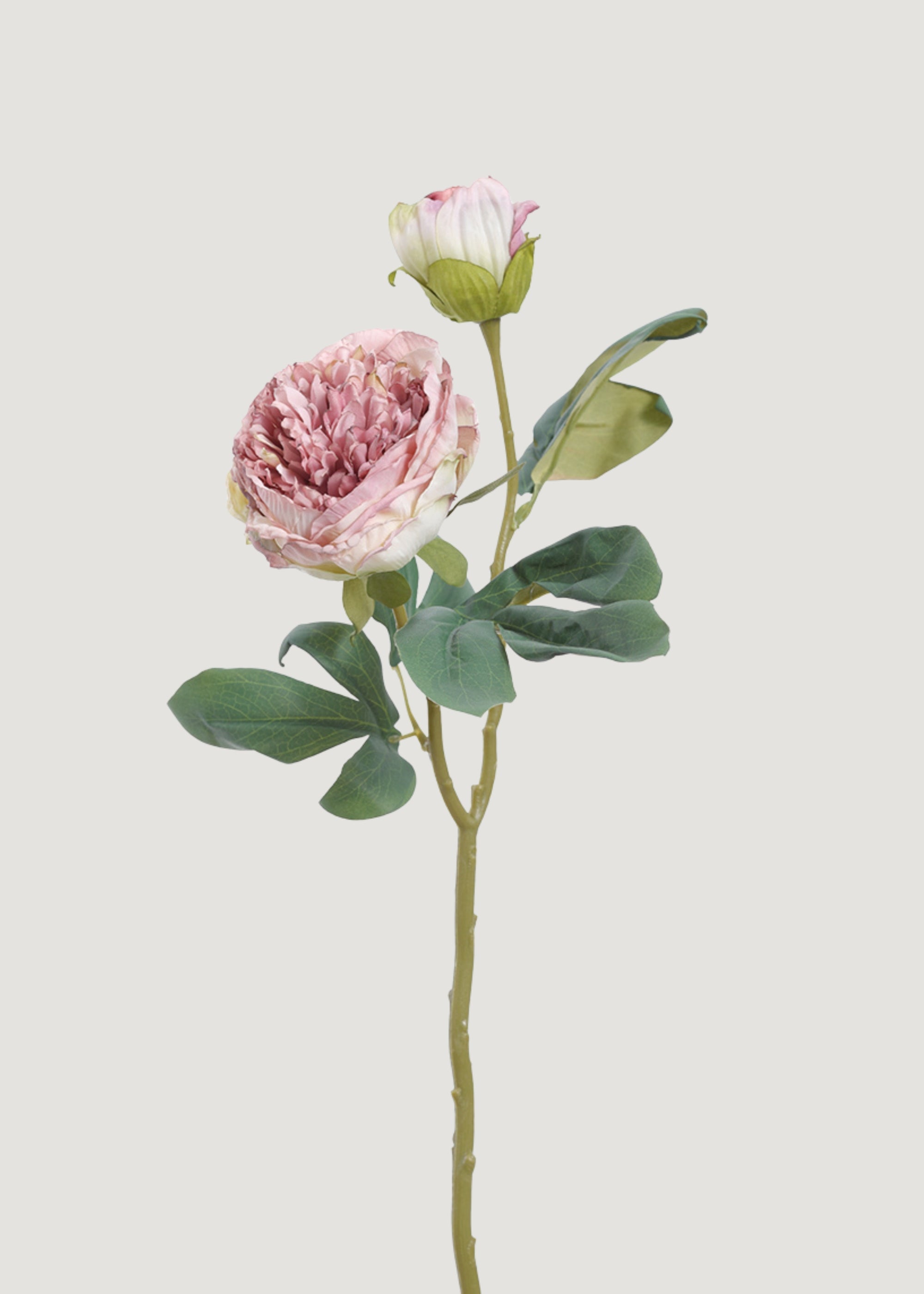 Lavender Artificial Peony Dried Look Flower - 19"