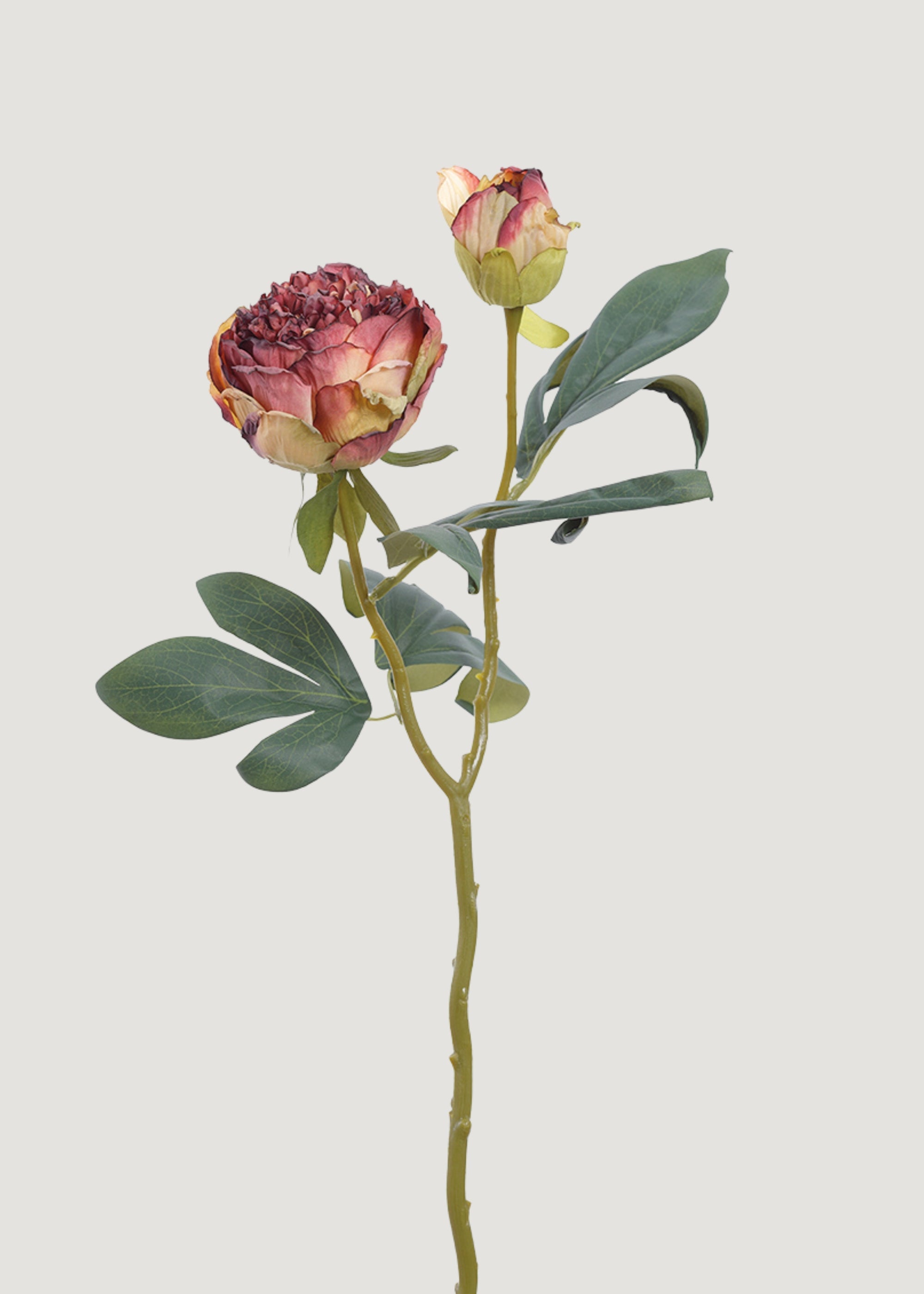 Dried Look Burgundy Artificial Peony Flower - 19"