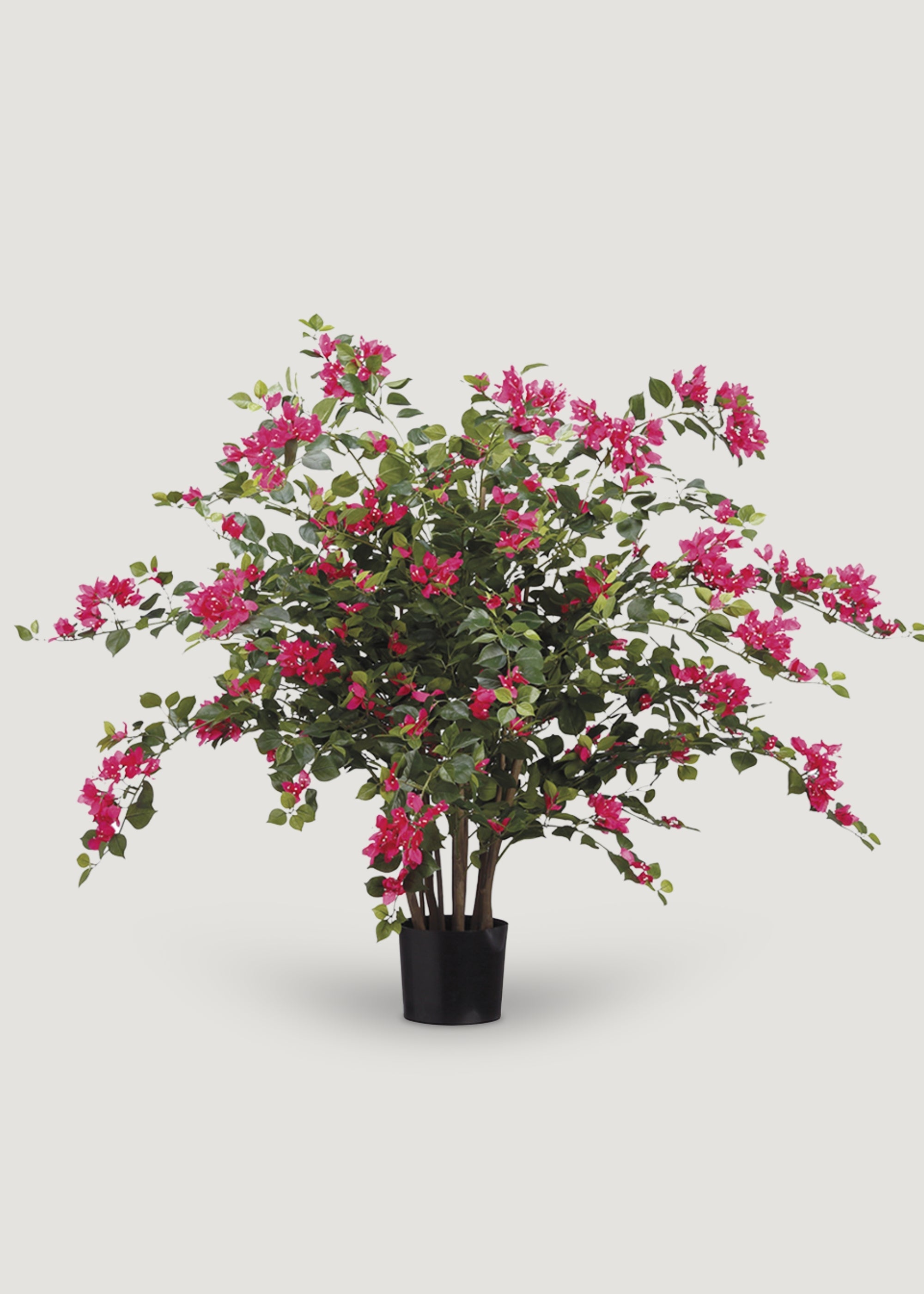 Pack of 2 Fake Blooming Bougainvillea Potted Arrangements - 39"