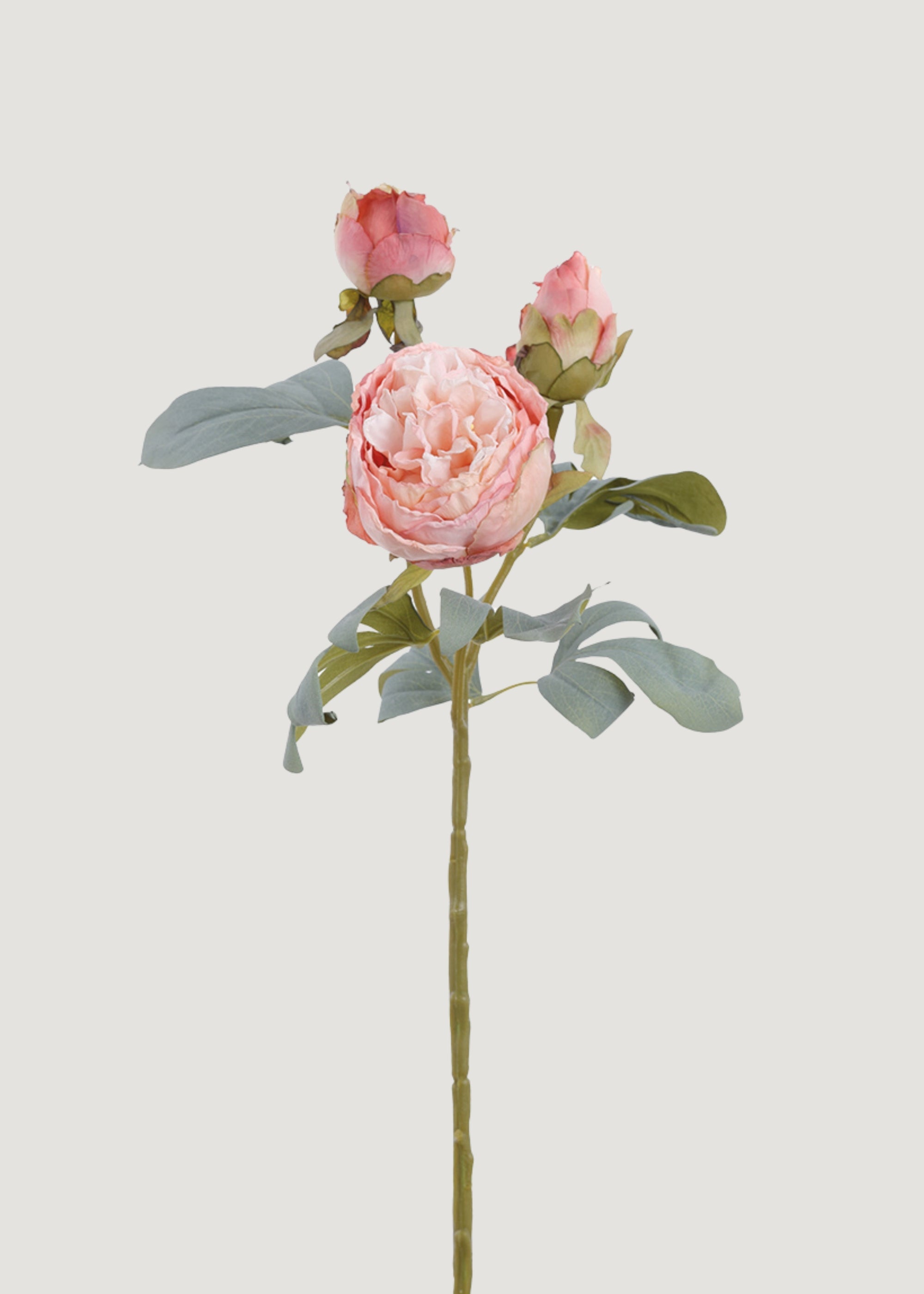 Pink Peony Dried Look Artificial Flower - 24"