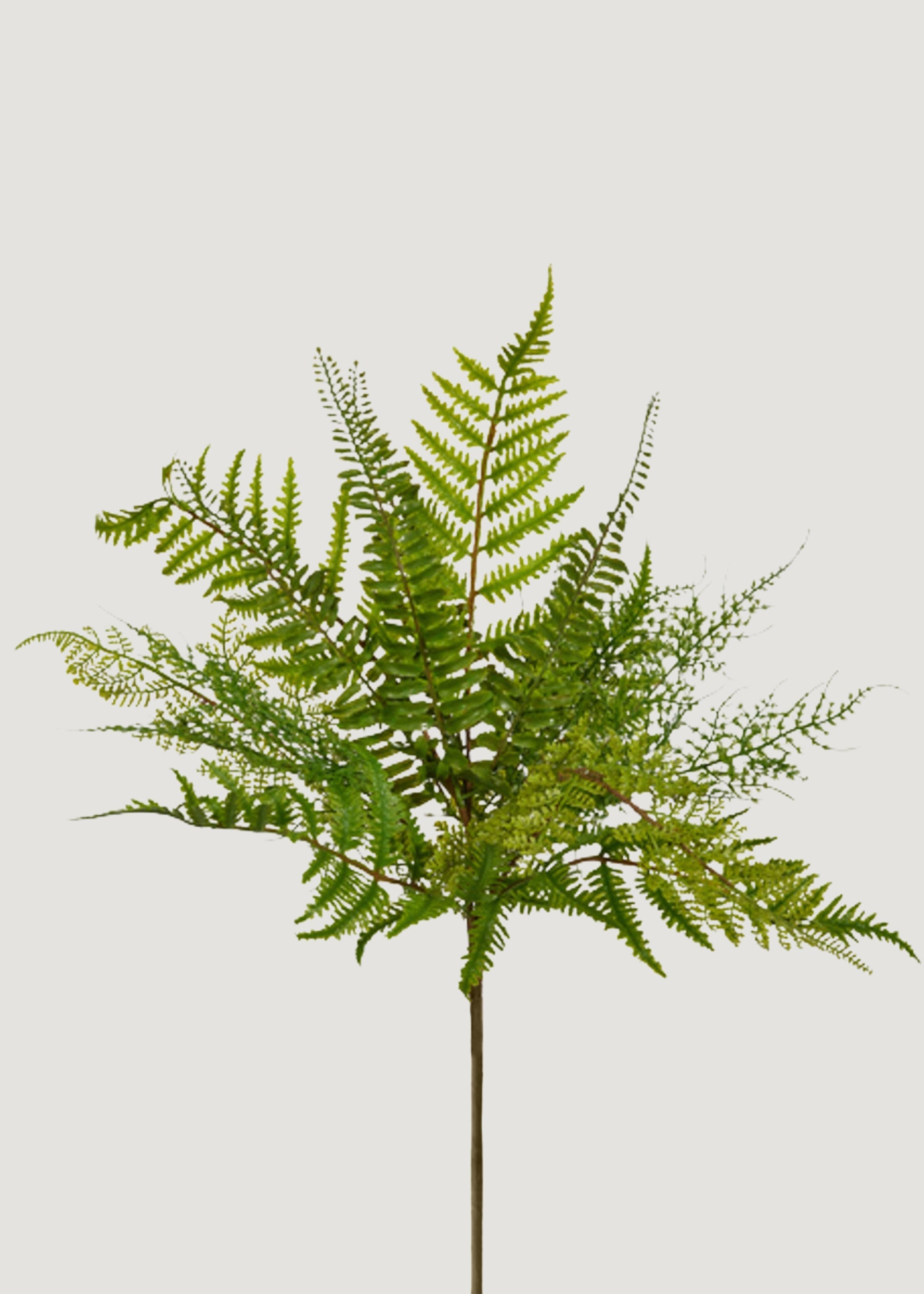 Fake Fern Leaf Plant - 18.5"
