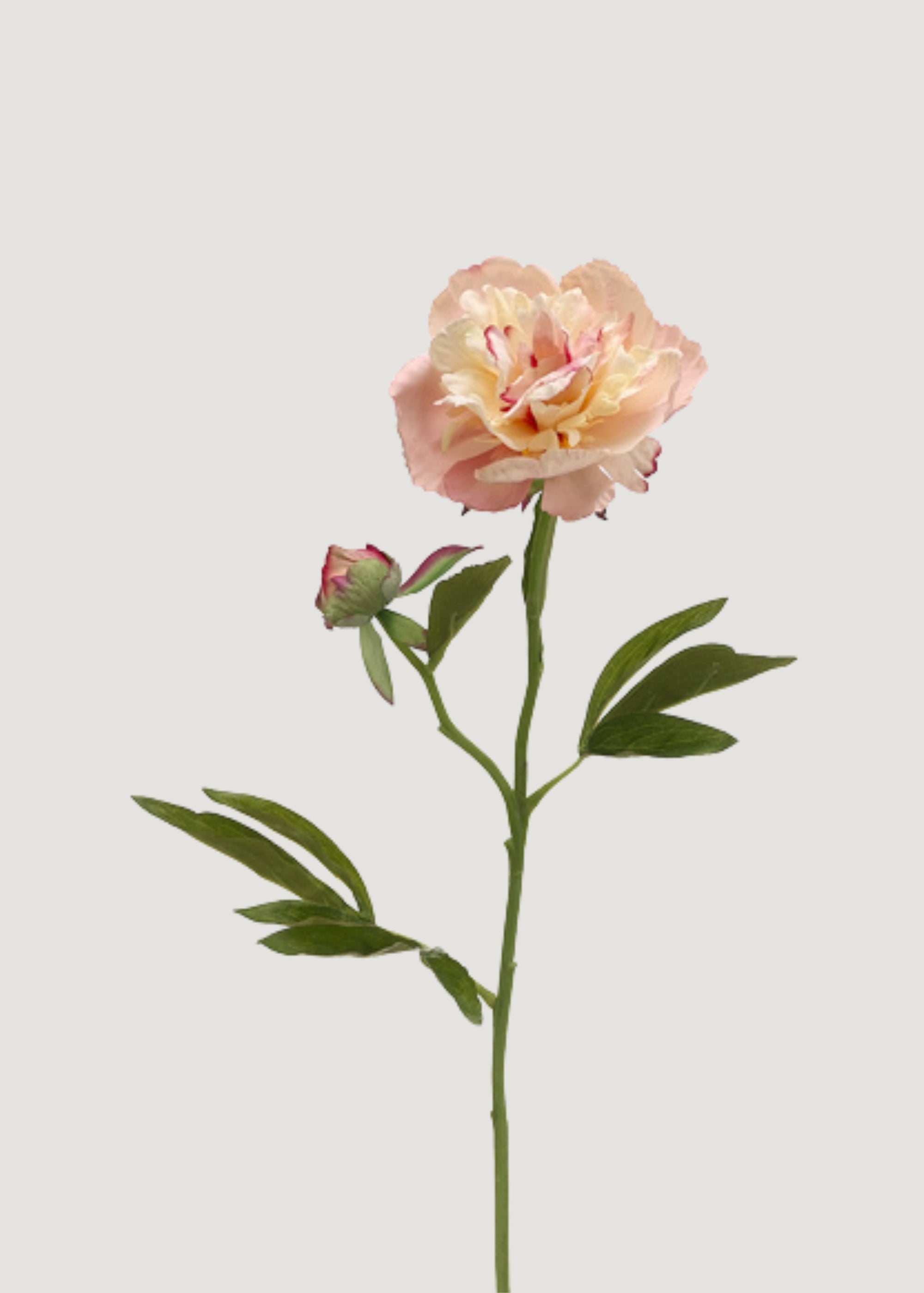 Soft Apricot Pink Peony Fake Flower - 22"