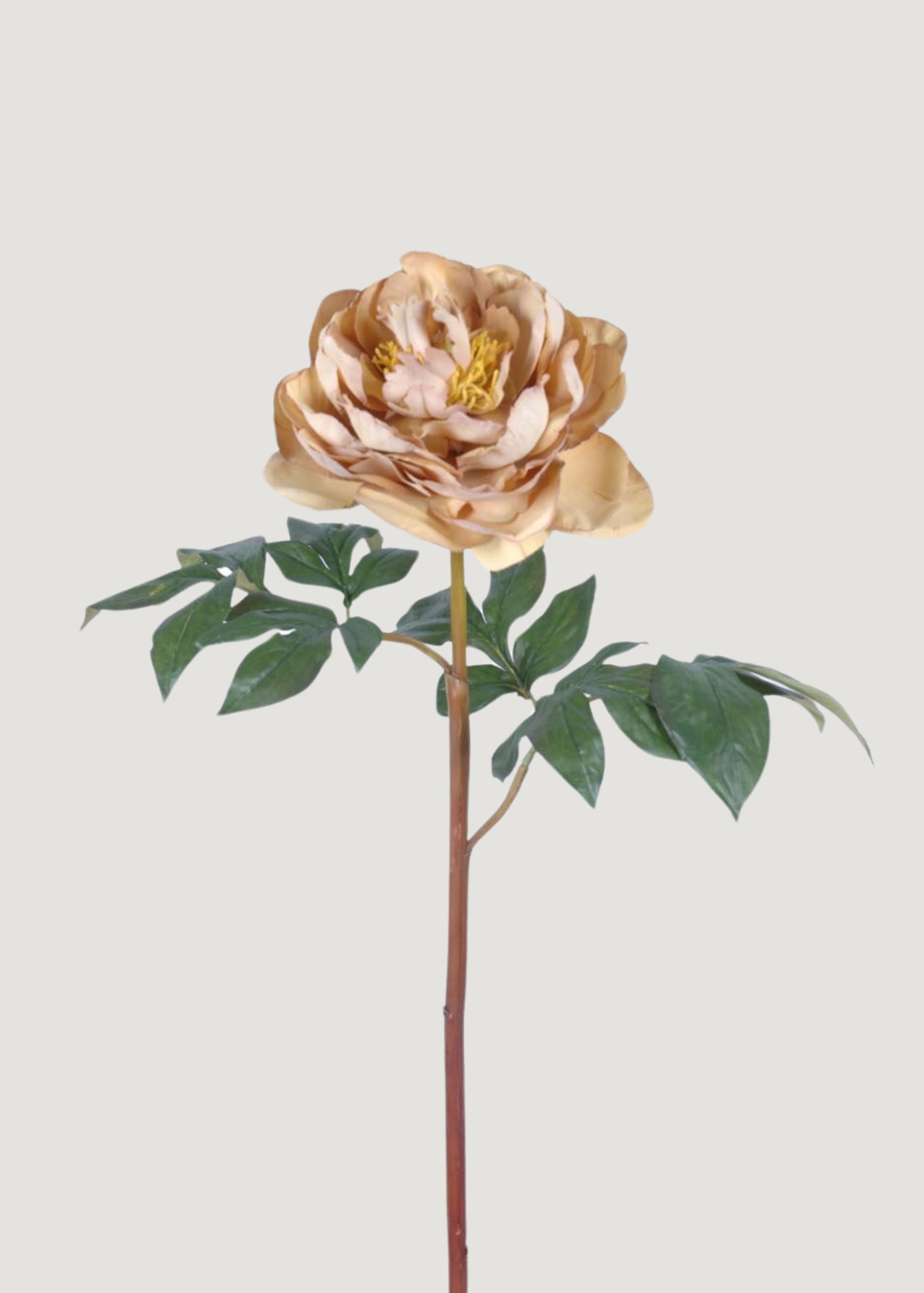 Faux Peony in Fawn - 24"